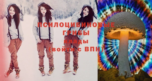 мдпв Верея