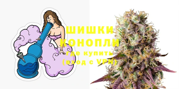 мдпв Верея