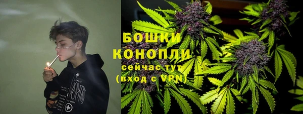 мдпв Верея