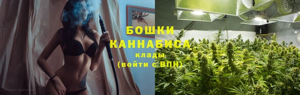 мдпв Верея