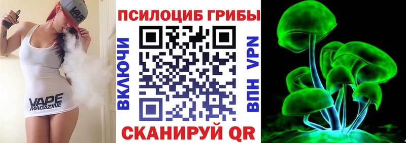 Купить где  Красавино  Псилоцибиновые грибы Cubensis 